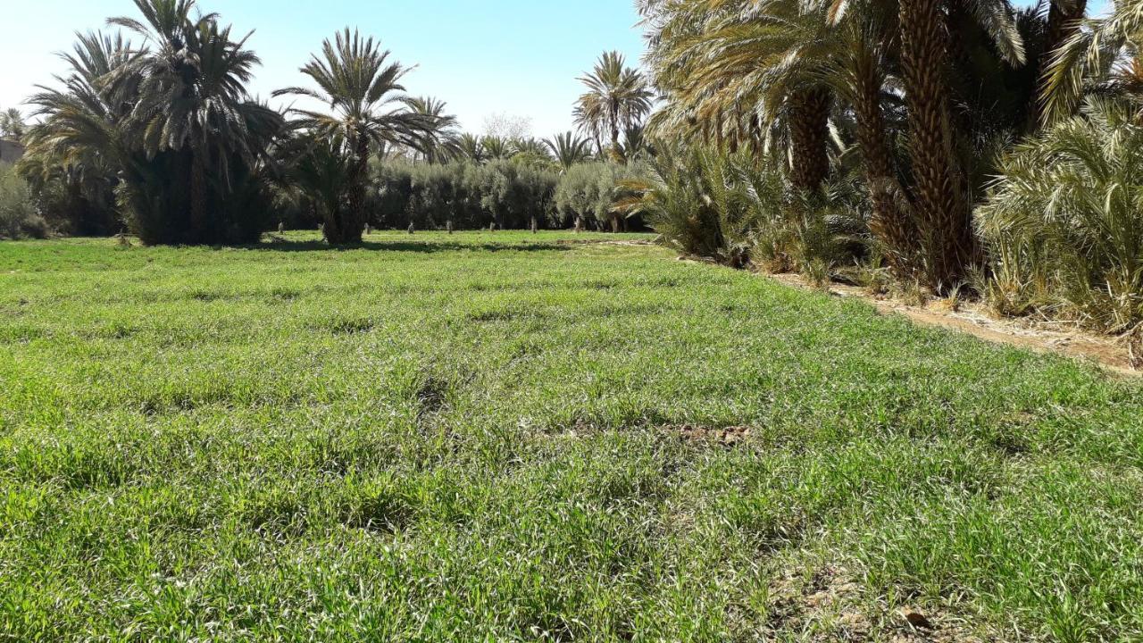 Riad Sarayas Tajda Экстерьер фото